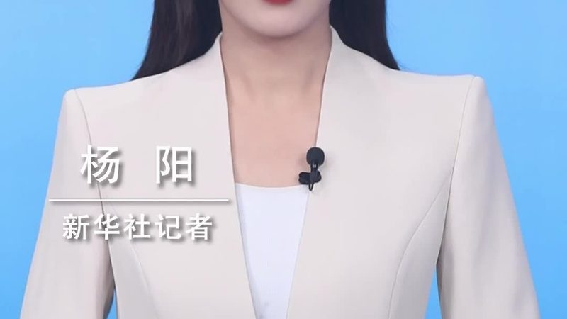 国产ERP软件：助力企业数字化转型的关键力量